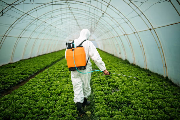 Best Pest Removal Services  in Lenwood, CA