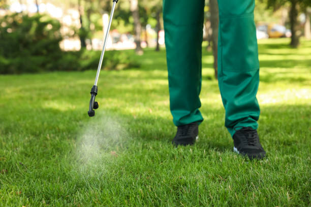 Best Emergency Pest Control  in Lenwood, CA