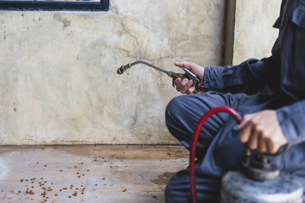 Professional Pest Control in Lenwood, CA